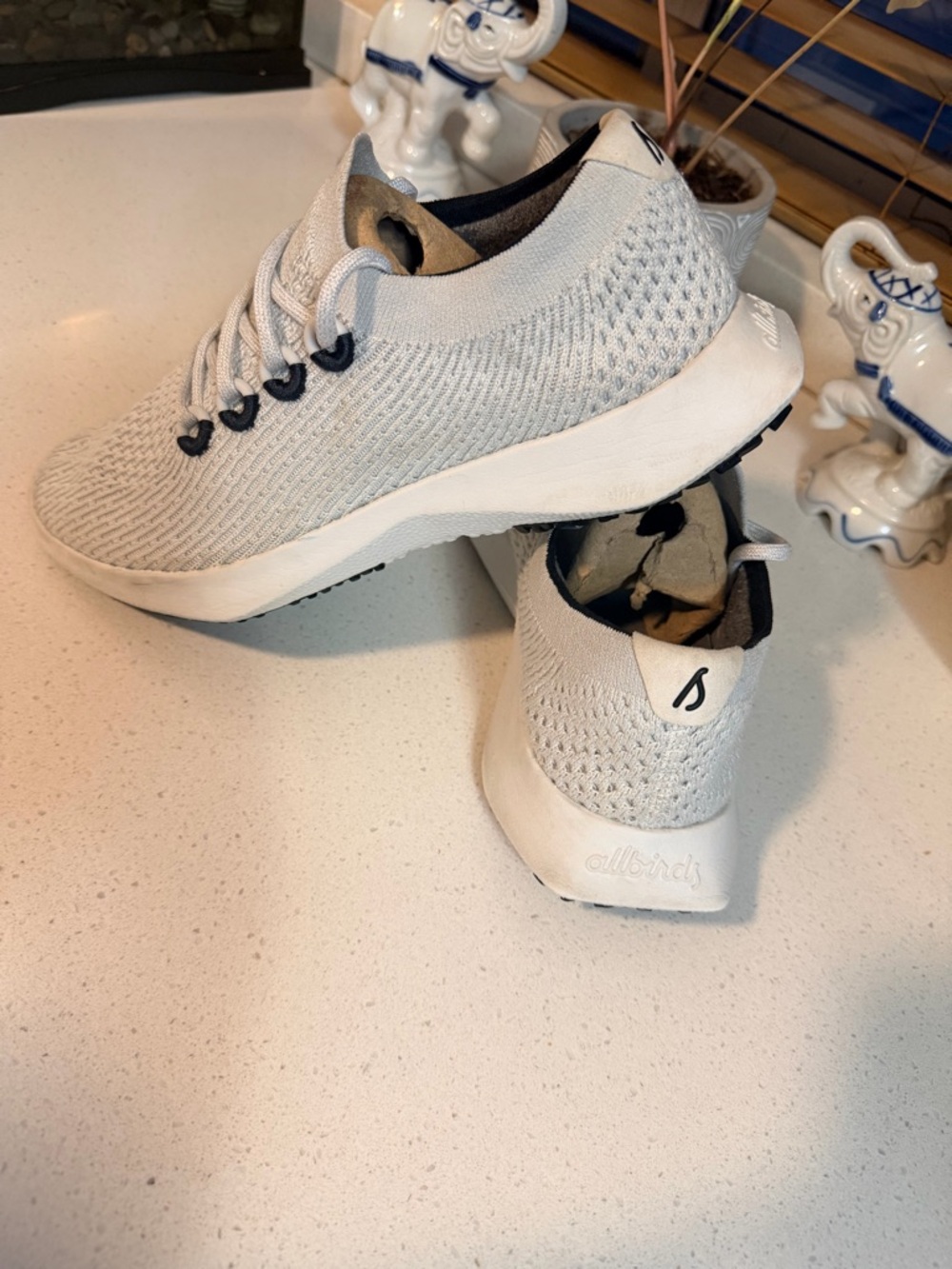 allbirds Light Gray Knit Runner with Navy Eyelets